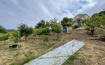 Property slide 11