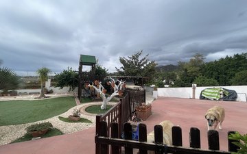 Property slide 6