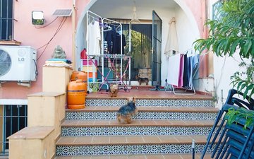 Property slide 26