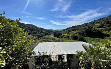 Property slide 32