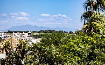 Property slide 37