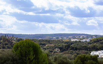 Property slide 60