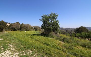 Property slide 22