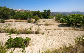 Property slide 19