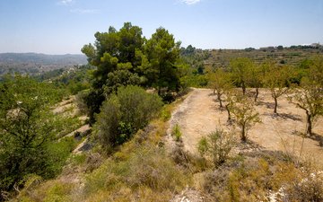 Property slide 18