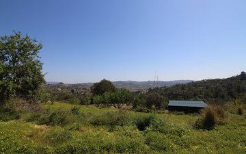 Property slide 15