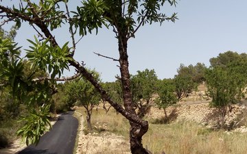 Property slide 12
