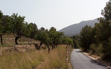 Property slide 11
