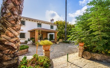 Property slide 25