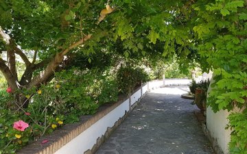 Property slide 10
