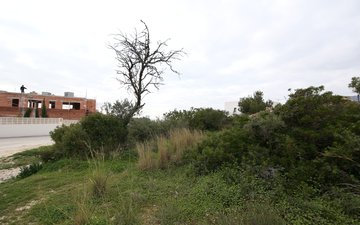 Property slide 4
