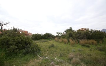 Property slide 8