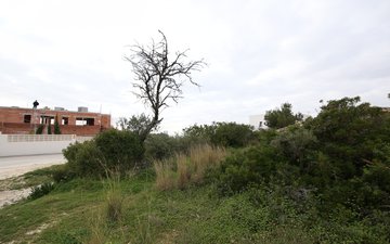 Property slide 7