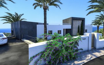 Property slide 11