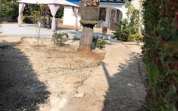 Property slide 11