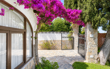 Property slide 16