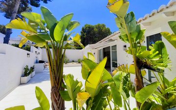 Property slide 37