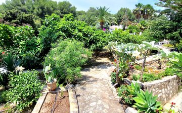 Property slide 29