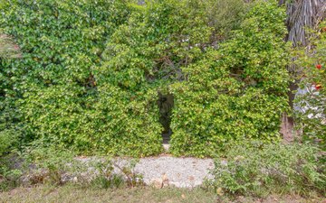 Property slide 37
