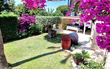 Property slide 42