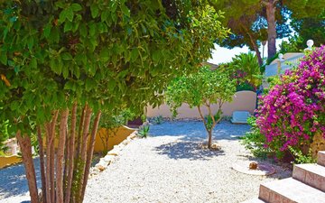 Property slide 38