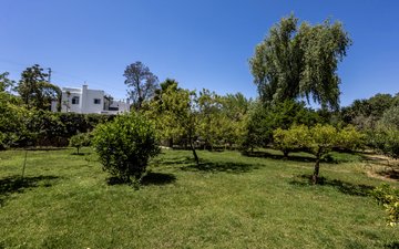 Property slide 35