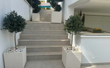 Property slide 24