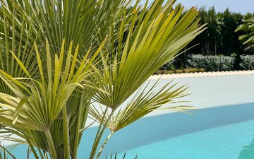 Property slide 43