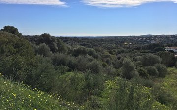 Property slide 22
