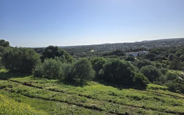 Property slide 27