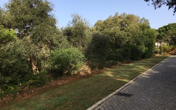 Property slide 13