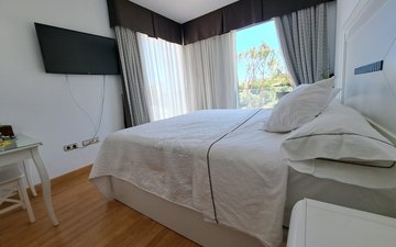 Property slide 6