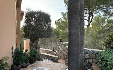 Property slide 11