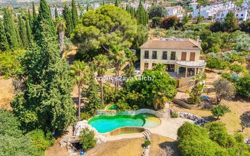 Property slide 24