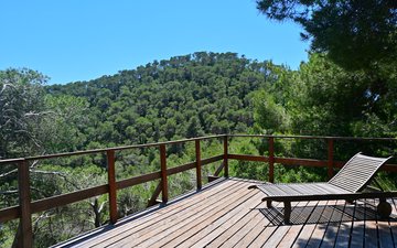 Property slide 13