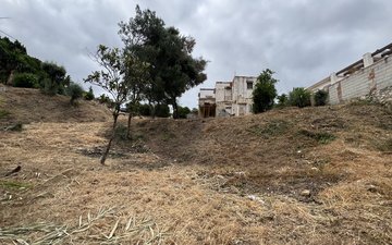 Property slide 12