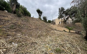 Property slide 11