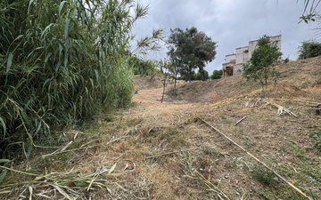 Property slide 13