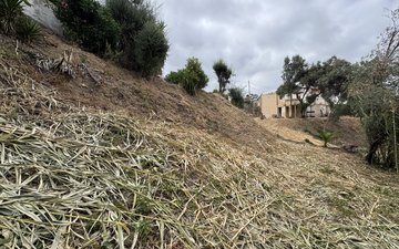 Property slide 9