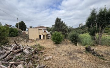 Property slide 3