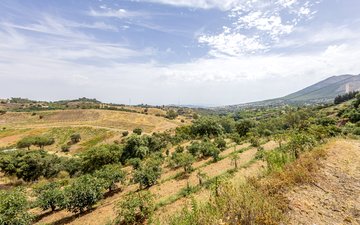 Property slide 45