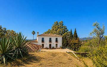 Property slide 11