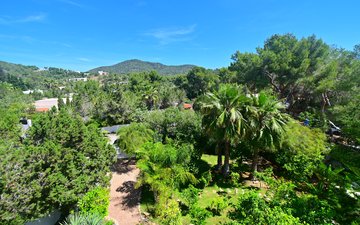 Property slide 36
