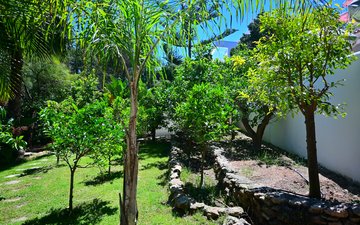 Property slide 47