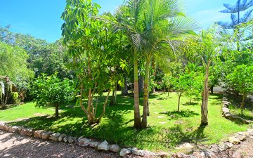 Property slide 31