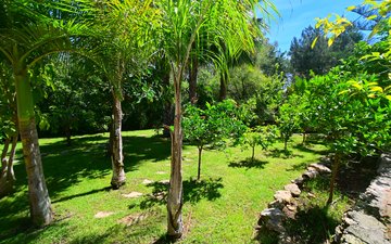 Property slide 32
