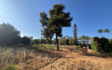 Property slide 4