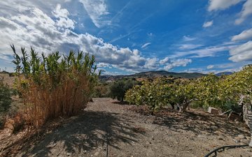 Property slide 16