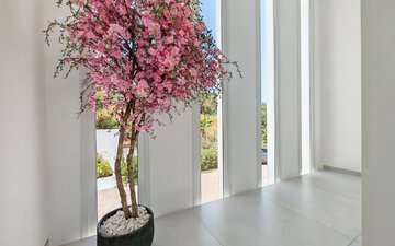 Property slide 21