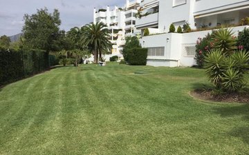 Property slide 31
